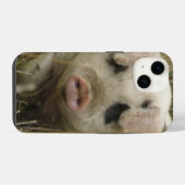 Coque Pour iPhone 14 Cochon Mignon (Verso Horizontal)