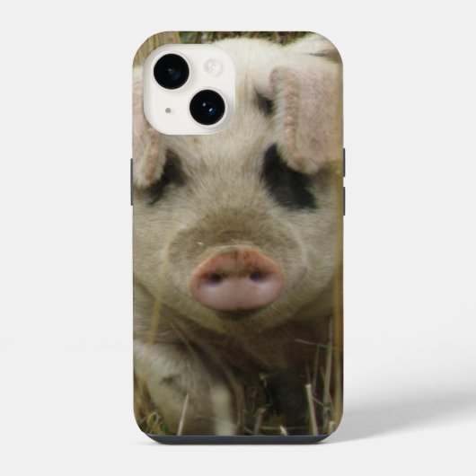 Coque Pour iPhone 14 Cochon Mignon (Verso)
