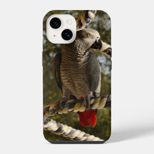Coque Pour iPhone 14 Congo African Grey sur une balançoire Case-Mate co (Verso)