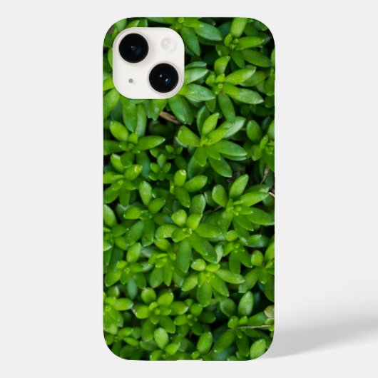 Coque Pour iPhone 14 Coque iphone Abstrait Moss (Verso)