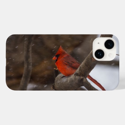 Coque Pour iPhone 14 Coque iphone cardinal de la tempête de neige (Verso (horizontal))