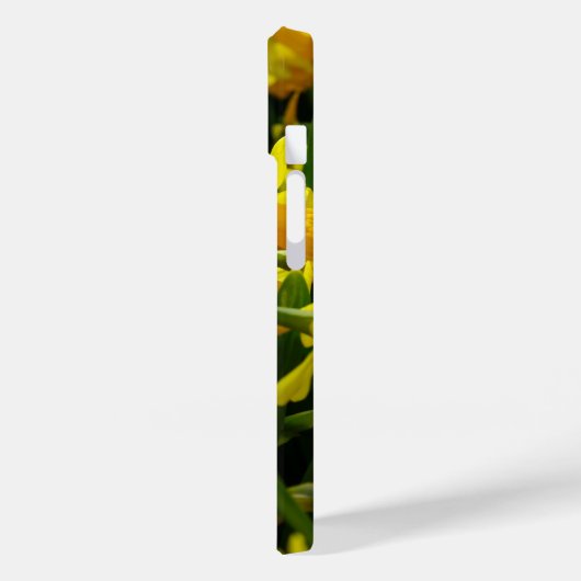 Coque Pour iPhone 14 Coque iphone de famille Daffodil (Verso / Gauche)