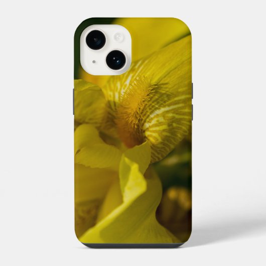 Coque Pour iPhone 14 Coque iPhone Iris Jaune Barbu (Verso)