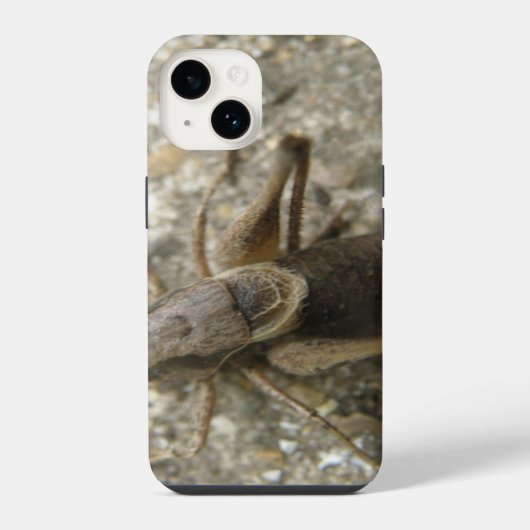 Coque Pour iPhone 14 Cricket Brown (Verso)