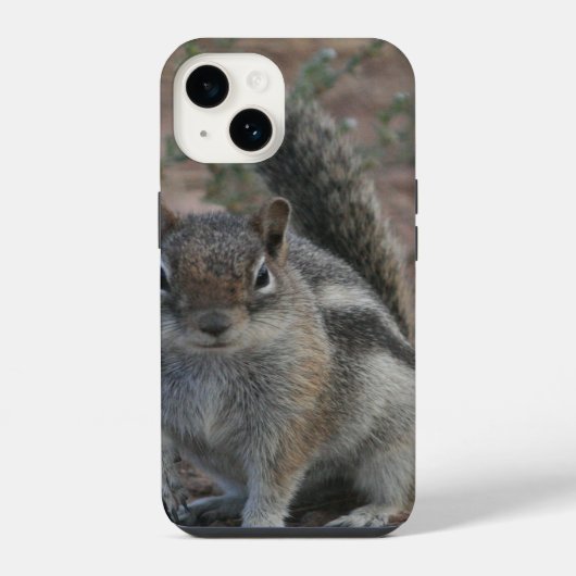 Coque Pour iPhone 14 Écureuil dur (Verso)