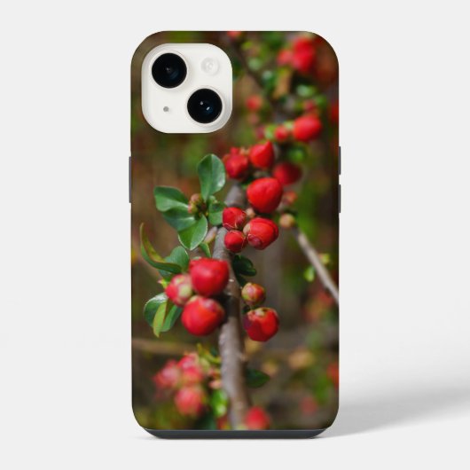 Coque Pour iPhone 14 Étui iPhone Bourgeons de printemps rouges (Verso)
