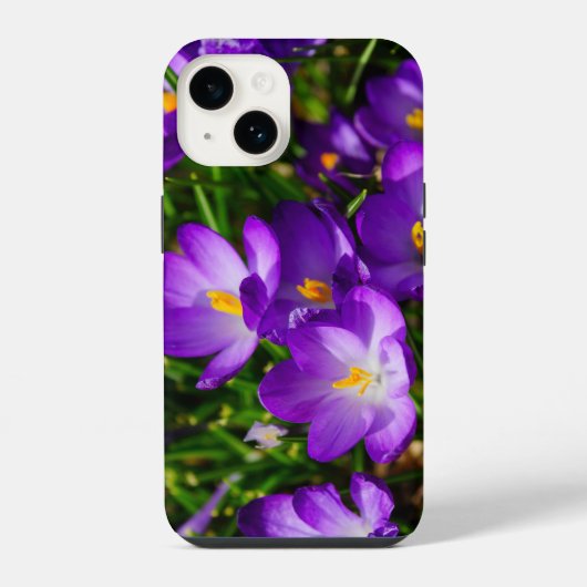 Coque Pour iPhone 14 Étui iPhone Lilac Crocuses (Verso)