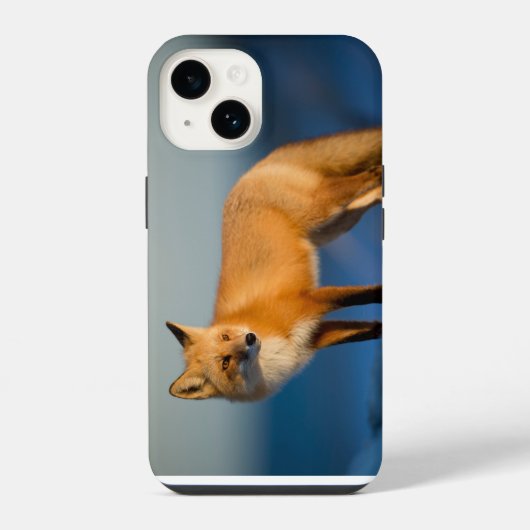 Coque Pour iPhone 14 Étui pour iPhone 14 Renard Brun (Verso)