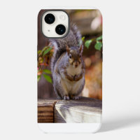 Étui pour iPhone Begging Squirrel