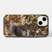 Coque Pour iPhone 14 Étui pour iPhone Squirrel Chow Time (Verso Horizontal)