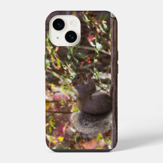 Coque Pour iPhone 14 Étui pour iPhone Squirrel Chow Time (Verso)