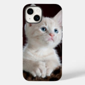 Coque Pour iPhone 14 iphone 14 coque chat amour (Verso)