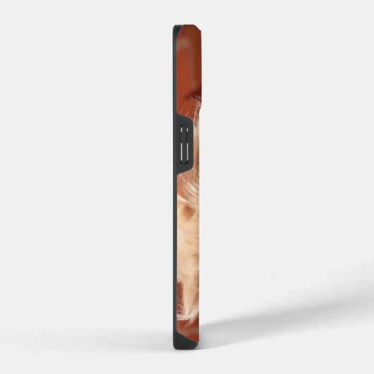 Coque Pour iPhone 14 iPhone 14 Coque dur, brillant (Côté droit)