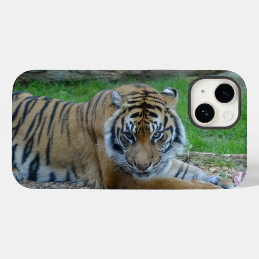 Coque Pour iPhone 14 iPhone Tiger's Gaze / coque ipad (Verso (horizontal))