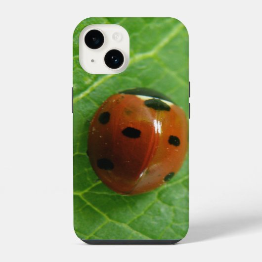 Coque Pour iPhone 14 Ladybug (Verso)