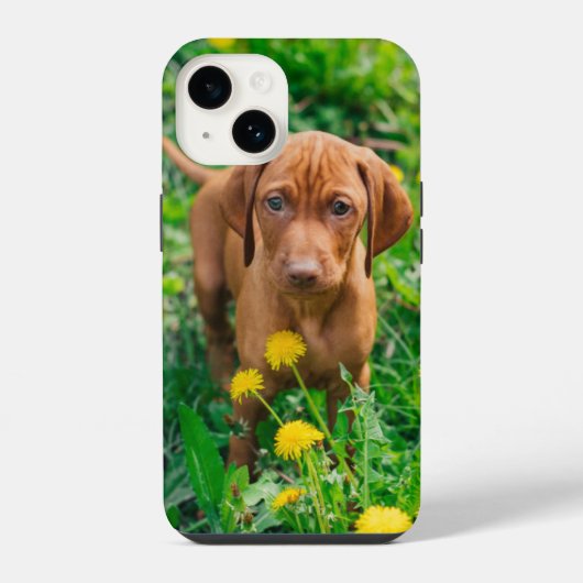 Coque Pour iPhone 14 Les bébés animaux les plus mignons | Chiot Pointer (Verso)