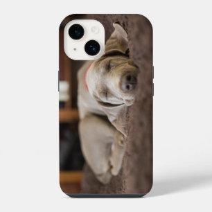 Coque Pour iPhone 14 Les bébés animaux les plus mignons Chiot Weimara