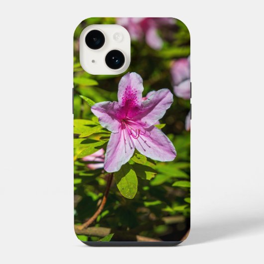 Coque Pour iPhone 14 magnifiques fleurs d'azalée rose au Descanso Garde (Verso)