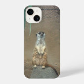 Coque Pour iPhone 14 Meerkat iPhone Case (Verso)
