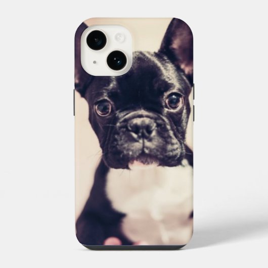Coque Pour iPhone 14 Minuscule Chiot noir et blanc (Verso)