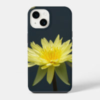 Nénuphar Lotus jaune
