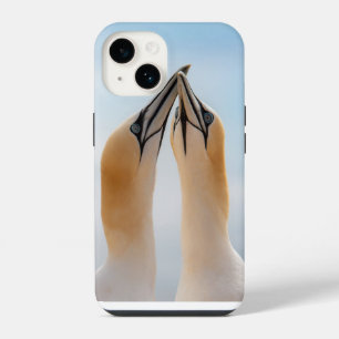 Coque Pour iPhone 14 Northern Gannet Seabird Coque-Mate iPhone 14