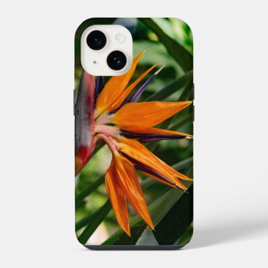 Coque Pour iPhone 14 Oiseau de fleur de paradis. (Verso)