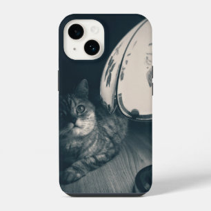 Coque Pour iPhone 14 Photographie de chat et de lampe de style Noir