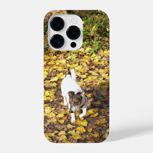 Coque Pour iPhone 14 Plus Capo von Oppenheim, Jack Russell Terrier Chien (Verso)