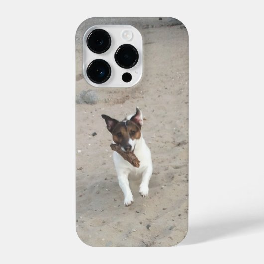 Coque Pour iPhone 14 Plus Capo von Oppenheim, Jack Russell Terrier Chien (Verso)
