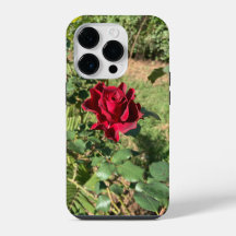 Coque Deep Red Rose iPhone 14 Pro