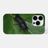 Coque Pour iPhone 14 Plus Dorcus parallelipipedus, le moindre dendroctone du (Verso Horizontal)