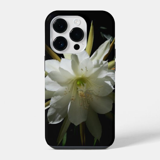 Coque Pour iPhone 14 Plus Fleur de cactus (Verso)