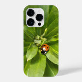 Coque Pour iPhone 14 Plus Ladybug (Verso)
