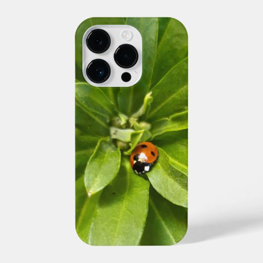Coque Pour iPhone 14 Plus Ladybug (Verso)