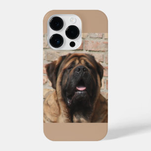 Coque Pour iPhone 14 Plus Mastiff anglais