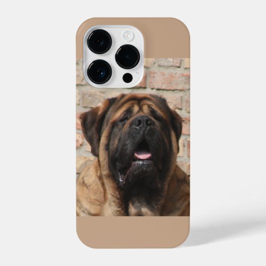 Coque Pour iPhone 14 Plus old english mastiff (Verso)