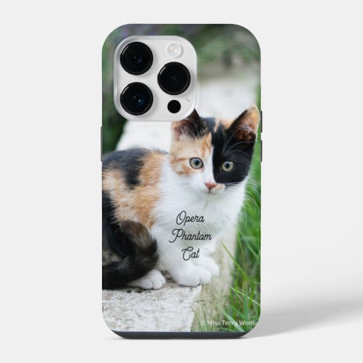 Coque Pour iPhone 14 Plus Opera Phantom Chat (Verso)