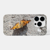 Coque Pour iPhone 14 Plus Papillon sous le soleil (Verso Horizontal)