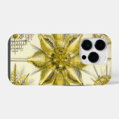 Coque Pour iPhone 14 Plus Vintage Haeckel (Verso Horizontal)