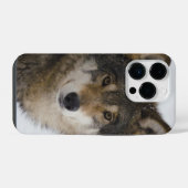 Coque Pour iPhone 14 Plus Wolf Face iPhone / coque ipad (Verso Horizontal)