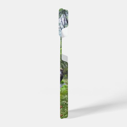 Coque Pour iPhone 14 Pointeurs allemands à poils courts (Côté gauche)