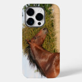 Coque Pour iPhone 14 Pro Beau cheval iPhone / coque ipad (Verso)