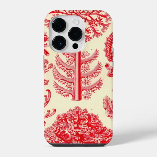 Coque Pour iPhone 14 Pro Vintage Haeckel (Verso)