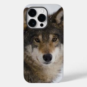 Coque Pour iPhone 14 Pro Wolf Face iPhone / coque ipad