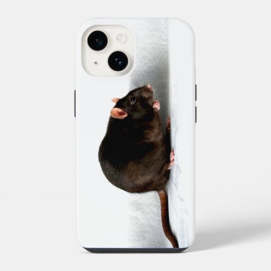 Coque Pour iPhone 14 Rat iphcnm (Verso)