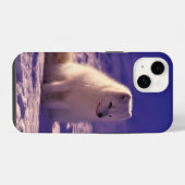 Coque Pour iPhone 14 Renard arctique (Verso Horizontal)