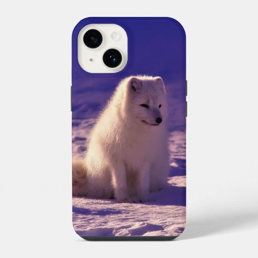 Coque Pour iPhone 14 Renard arctique (Verso)