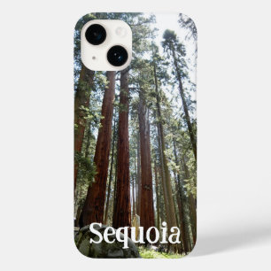 Coque Pour iPhone 14 Sequoia National Forest iPhone 14 Coque