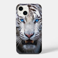 Tigre Blanc Yeux Bleus